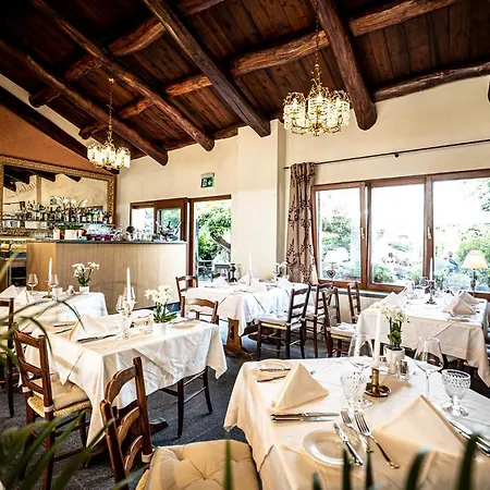 Swiss Historic & Garten Carona Hotel 3*
