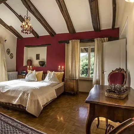 Hotel Swiss Historic & Garten Carona 3*