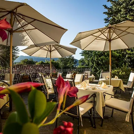 Swiss Historic & Garten Carona Отель 3*
